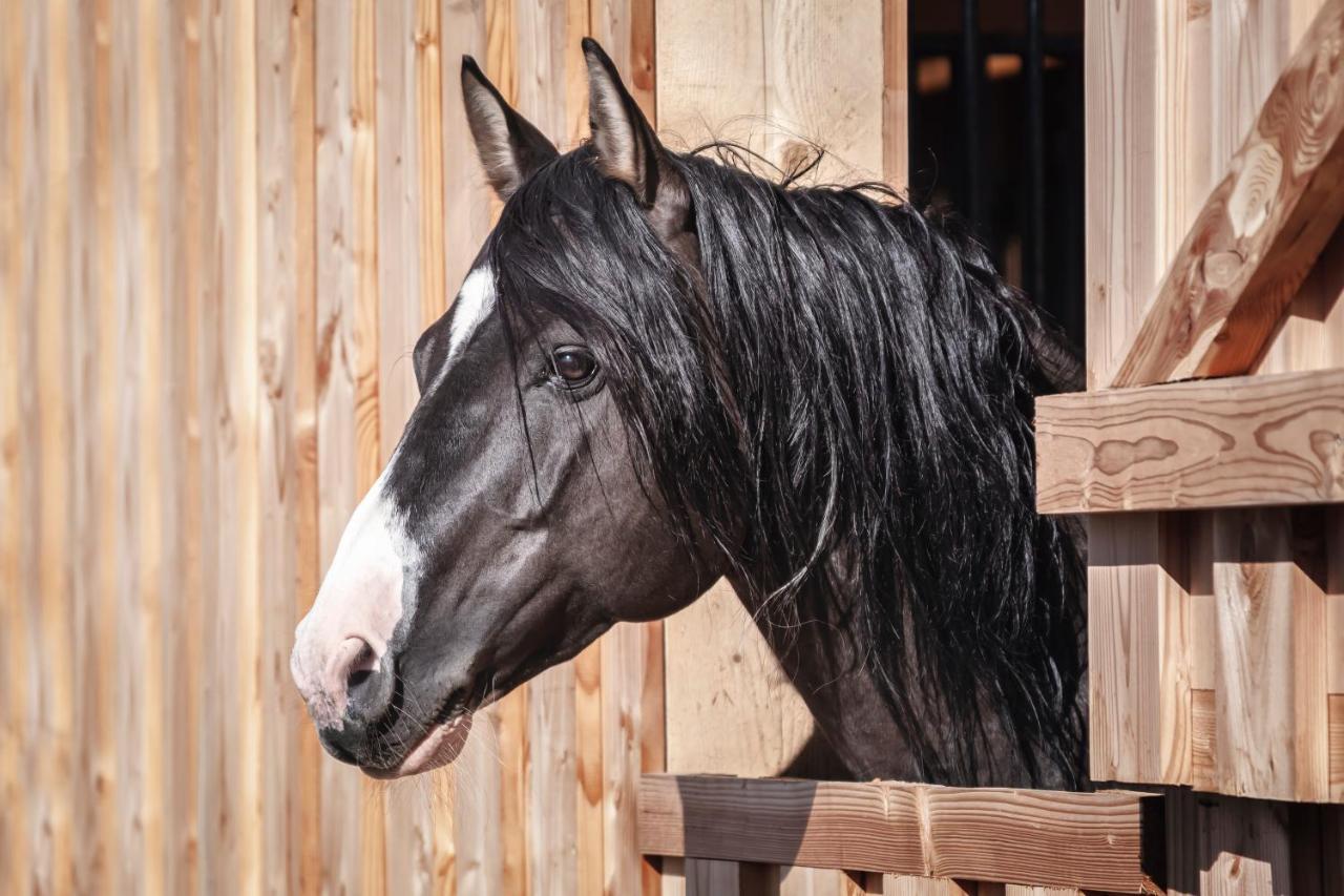 Ranchhouse Smoker- Westernstable - Horse Elterlein Exterior photo